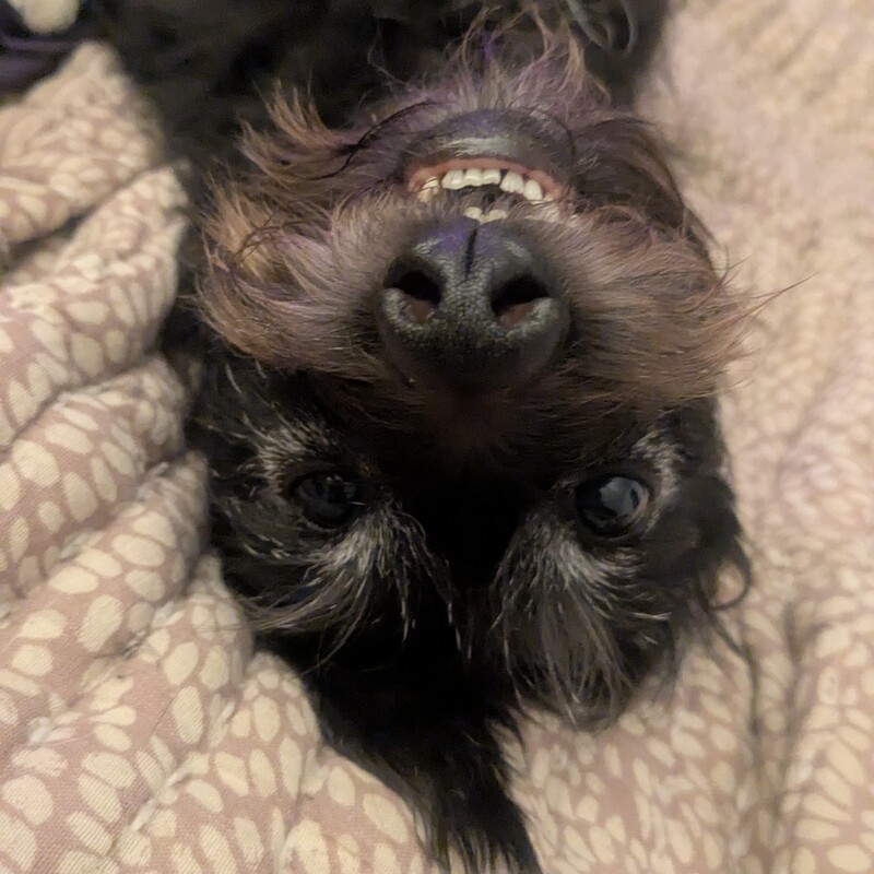 Upside face